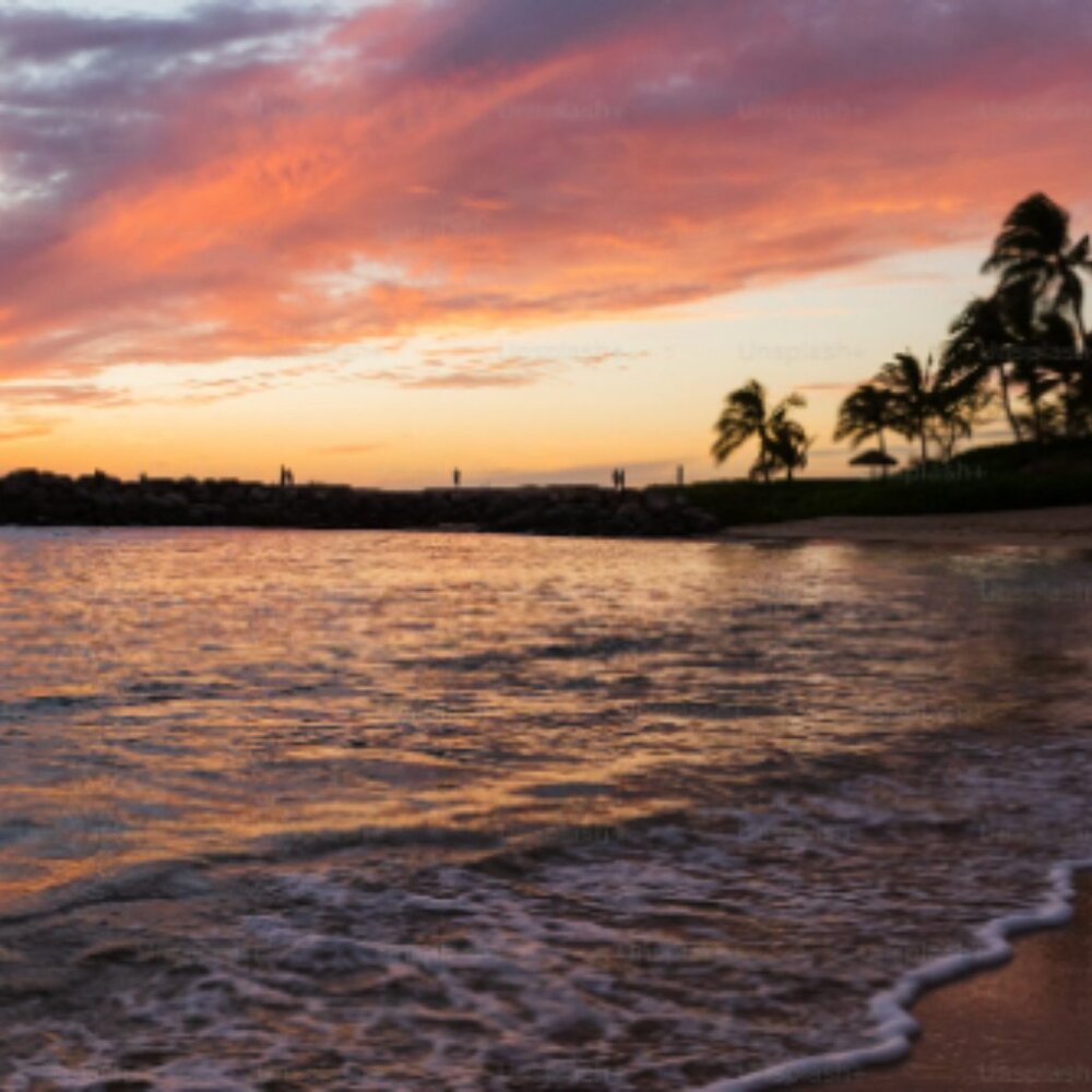 Meet your Posher, Eli